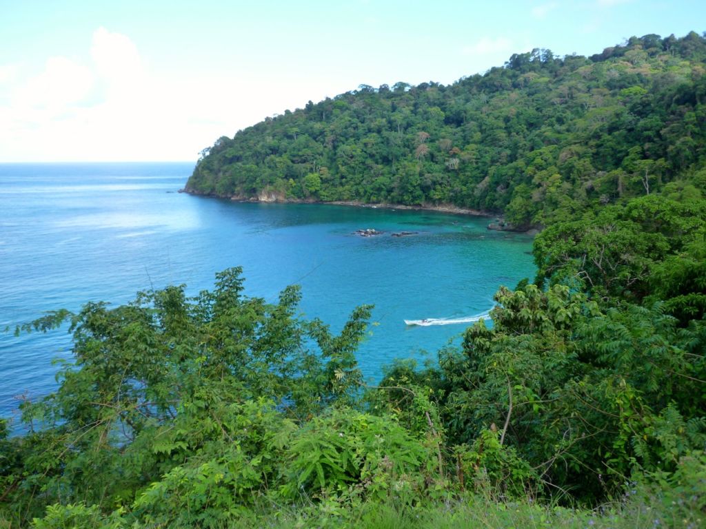 Pirate's Bay